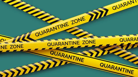 How to survive two weeks of hotel quarantine